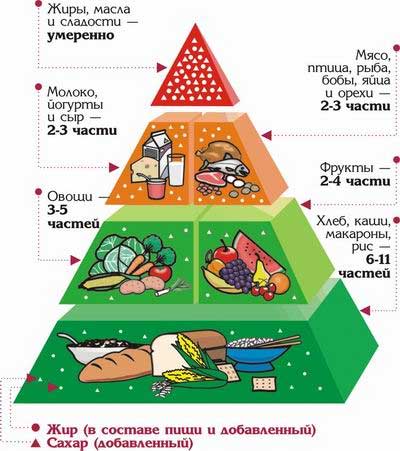 https://crblen.ru/dlya-pacientov/meditsinskaya-profilaktika/666-piramida-zdorovogo-pitaniya